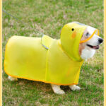 Pet Rain Poncho